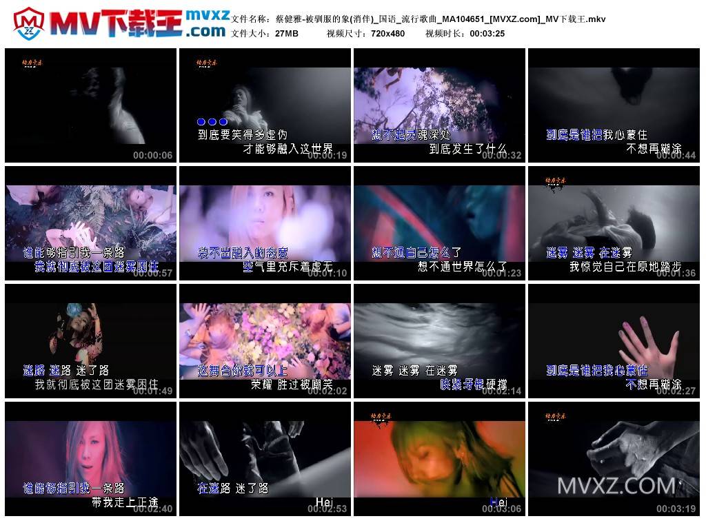 蔡健雅-被驯服的象(消伴)_国语_流行歌曲_MA104651